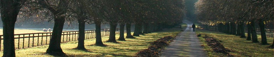 Grotenhermen, seit vielen Jahrhunderten in Robringhausen